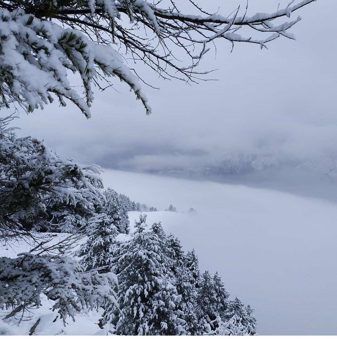 Snow trekking near Jalori Pass