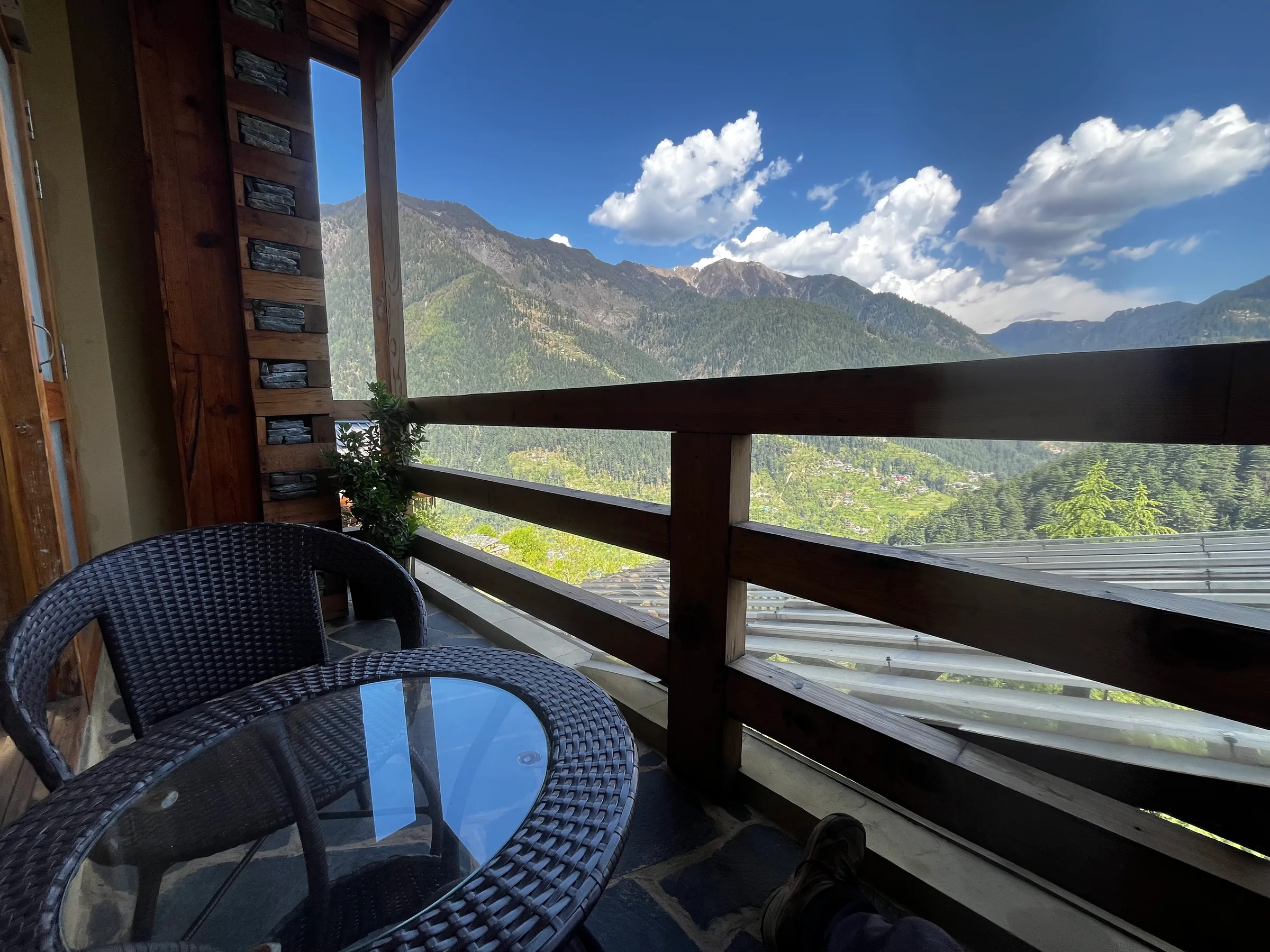 Himalayan wildflowers and greenery